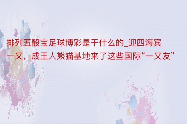 排列五骰宝足球博彩是干什么的_迎四海宾一又，成王人熊猫基地来了这些国际“一又友”